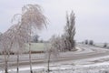 Winter road leaving behind the turn and icy birches. Royalty Free Stock Photo