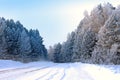 The winter road is riddled with wheel tracks. A car raising a cloud of snow dust hides in the forest thicket