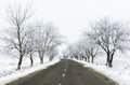 Winter landscape of a road between rime covered trees