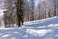 Winter road running between the frozen trees Royalty Free Stock Photo