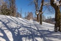 Winter road running between the frozen trees Royalty Free Stock Photo