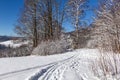 Winter road running between the frozen trees Royalty Free Stock Photo