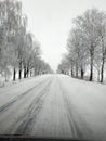 Winter road running between the frozen trees Royalty Free Stock Photo