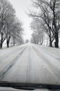 Winter road running between the frozen trees Royalty Free Stock Photo