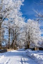 Winter road running between the frozen trees. Royalty Free Stock Photo