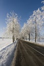 Winter road scenery Royalty Free Stock Photo