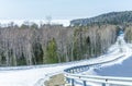 Winter road in siberian forest