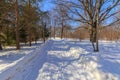 Winter road in the snow in the countryside