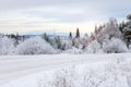 Winter road in the snow-covered forest at sunset