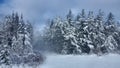 Winter Road Snow fir, Thunder Bay Canada Royalty Free Stock Photo