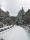 Winter road and snow with tree frost