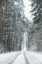 Winter road snowfall.  The concept of winter magic Royalty Free Stock Photo