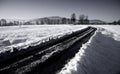 Winter road through snowy fields