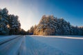 Winter road in snowy forest. Cold weather landscape Royalty Free Stock Photo