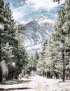 Winter Road to Humphrey`s Peak in Flagstaff Arizona Royalty Free Stock Photo