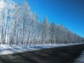 winter road. trees in frost that sparkles under the sun. Royalty Free Stock Photo