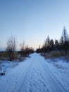 Winter road and trees with snow and sunset or dawn. Winter vertical twilight landscape of the road with traces from the car wheels Royalty Free Stock Photo
