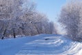 Winter road and trees under snow in Altai Royalty Free Stock Photo