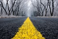 Yellow Road in Winter Royalty Free Stock Photo
