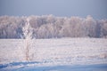 Winter road under snow. Frozen birch trees covered with hoarfrost and snow Royalty Free Stock Photo