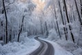 winter road winding through a snow-laden forest