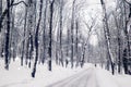 Winter road in a wood. Quiet snowy day on a forest.