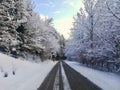 Winter road in the forest Snow Royalty Free Stock Photo