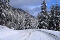 Winter Roads 2