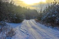Winter rolled on a rural dirt road Royalty Free Stock Photo
