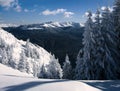Winter in Romania mountains Royalty Free Stock Photo