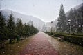 Winter in Romania, in a park in the Slanic Moldova