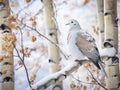 Winter Roost for a Collared Dove Made With Generative AI illustration