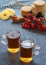 Winter rosehip tea. Royalty Free Stock Photo