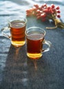 Winter rosehip tea. Royalty Free Stock Photo