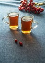 Winter rosehip tea. Royalty Free Stock Photo