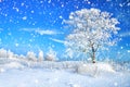 Winter rural landscape with forest and blue sky.