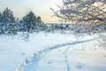 Winter rural landscape with forest, snow and path Royalty Free Stock Photo