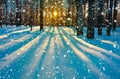 Winter rural landscape with forest, sun and snow. Royalty Free Stock Photo