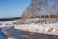 Winter rural landscape with road and birches