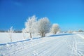 Winter rural landscape with road, forest and blue sky. Royalty Free Stock Photo