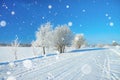 Winter rural landscape with road, forest and blue sky. Royalty Free Stock Photo