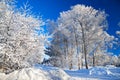 Winter rural landscape