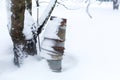 Winter rural landscape, rusty metal buckets in the yard covered with snow Royalty Free Stock Photo