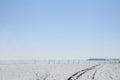 Winter rural landscape, a snowy agricultural field covered with snow and ice, in the Banat region of Vojvodina, in Serbia, Europe, Royalty Free Stock Photo