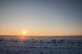 Winter rural landscape, a snowy agricultural field covered with snow and ice, at sunset, in Banat region of Vojvodina, in Serbia Royalty Free Stock Photo