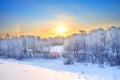 Winter rural landscape with a sunset in the forest