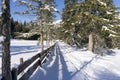 Winter rural landscape with wooden fence covered with hoarfrost