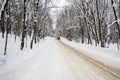 Winter Rural Road Through a Snowy Forest Royalty Free Stock Photo