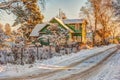 Winter rural road and trees in snow Royalty Free Stock Photo