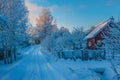 Winter rural road and trees in snow Royalty Free Stock Photo